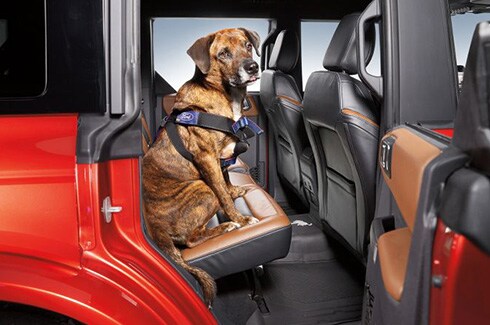 Discover Ford Bronco Accessories in PR, Pet Harness By Covercraft - Large